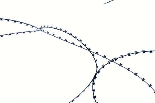 istock barbed wire prison fence 1484725781