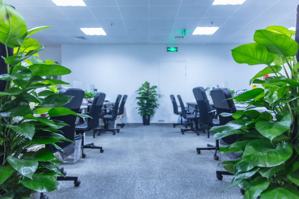 istock modern office interior with green plants 1484730035