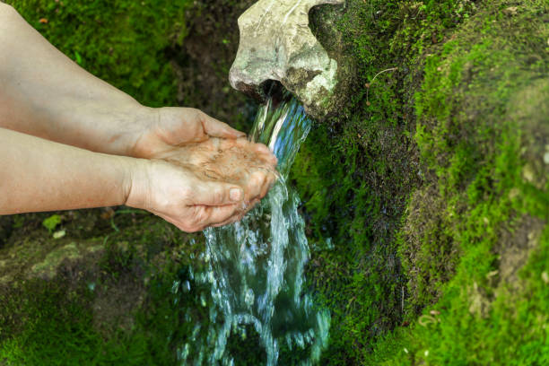 woman holding water with her hands in a fountain of crystal clear water woman catching water with her hands in a spring of crystal clear water covered with moss and ferns in the forest crystalline inclusion complex stock pictures, royalty-free photos & images