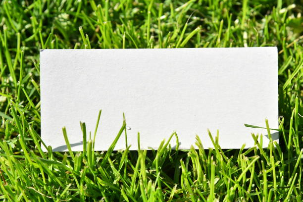 istock Blank white banner in green fresh grass 1484731323