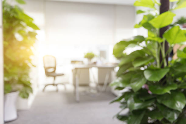 istock Modern office interior corridor with green plants 1484734538