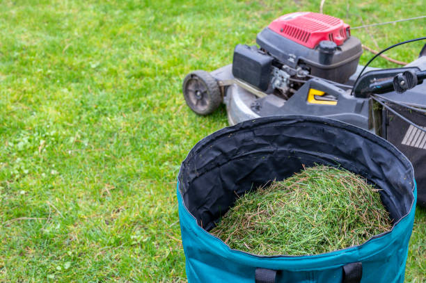 istock Lawn cut after mowing with text free space in the lawn 1484736563