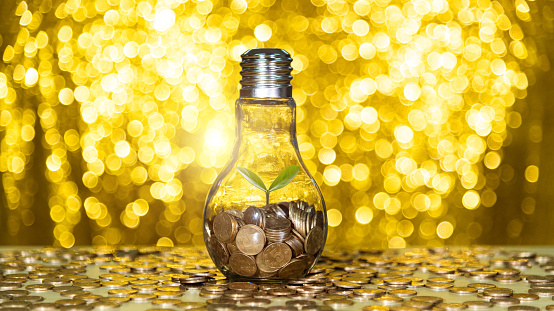 Light bulb with small plant on coins