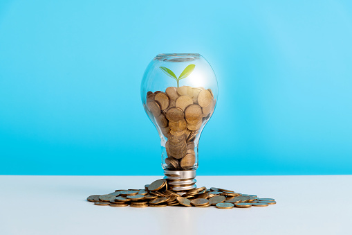 Light bulb with small plant on coins