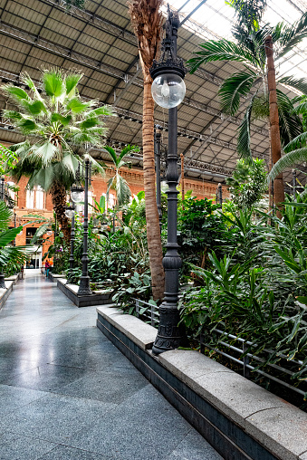 Lush tropical vegetation in the train station of Atocha in Madrid, Spain. The stark contrast with the somber industrial architecture.