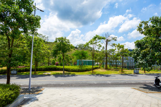 istock Driveway and plants in an outdoor park 1484738228