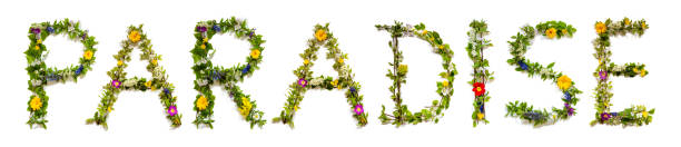 istock Colorful Flowers Building Word Paradise, Isolated Background 1484740054