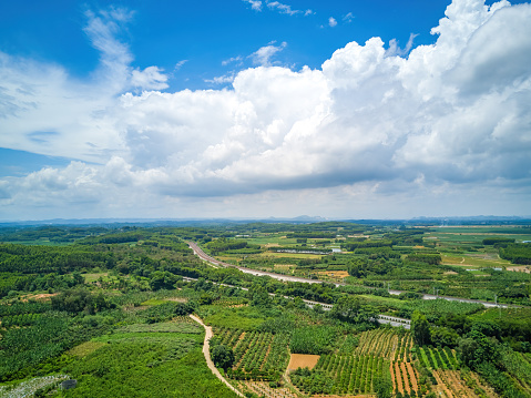 Aerial photography of wild field plants and blue sky and white clouds in Guangxi, China