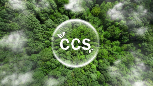 istock CCS acronym for Carbon Capture Storage words CCS in bubbles with a forest background. Net zero action concept. Save energy, green energy, reduce carbon footprint, carbon capture. World environment day 1484741478