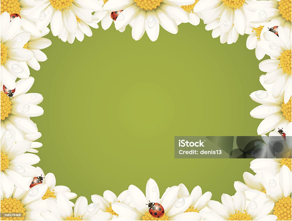 Camomile Floral Frame Agricultural Field stock vector