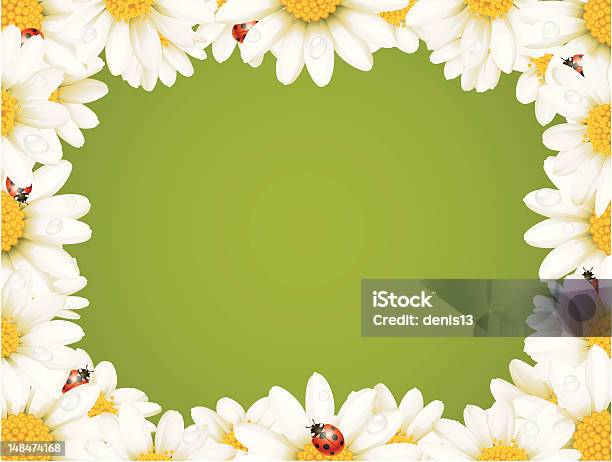 Camomile Floral Frame Stock Illustration - Download Image Now - Agricultural Field, Angle, Animal Markings