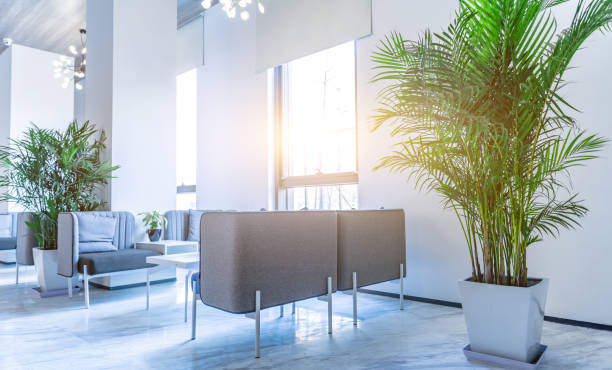 Spacious and bright meeting area in modern company interior