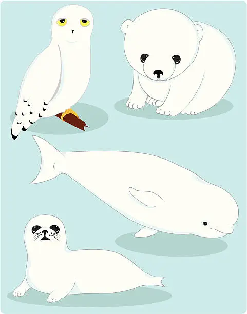 Vector illustration of collection of arctic animals