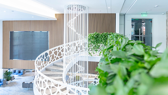 Spiral staircase and chandelier in building hall with green plants in foreground