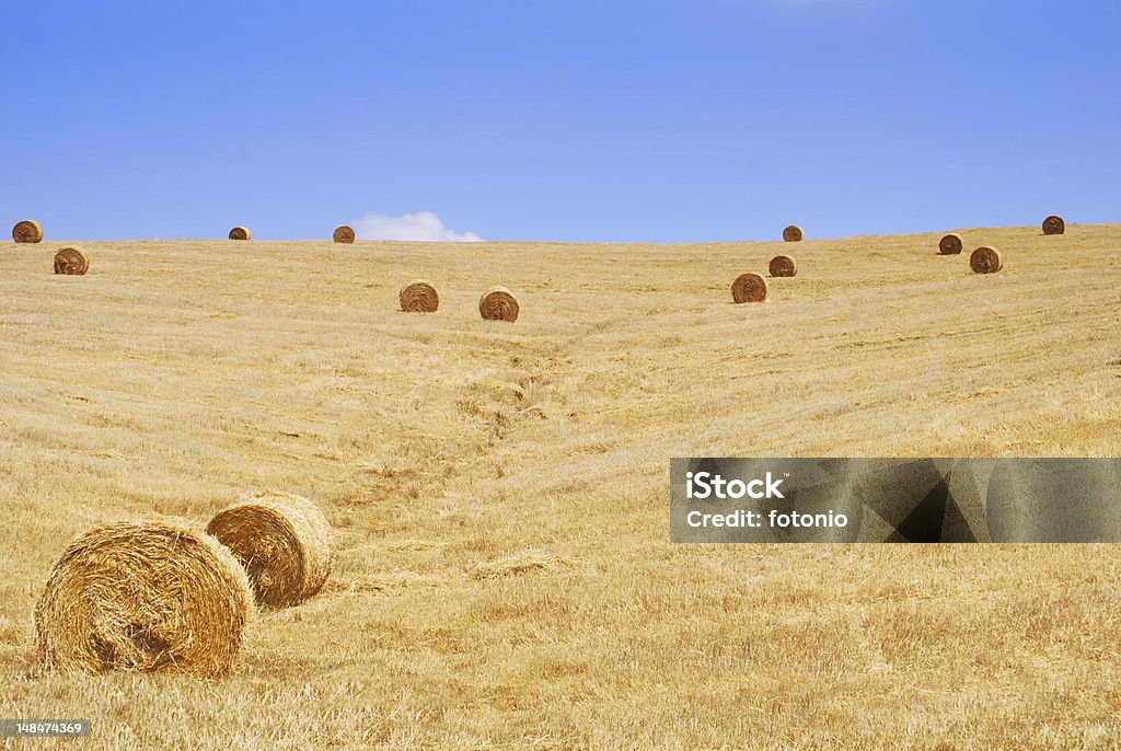 Straw bales mit blauer Himmel und Textfreiraum - Lizenzfrei Agrarbetrieb Stock-Foto