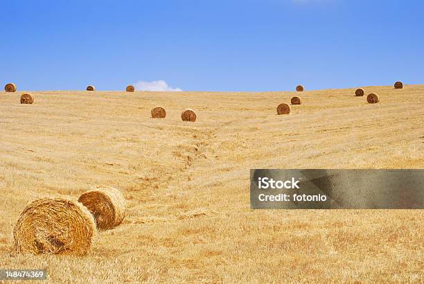 Straw Bales Mit Blauer Himmel Und Textfreiraum Stockfoto und mehr Bilder von Agrarbetrieb - Agrarbetrieb, Alles hinter sich lassen, Anhöhe