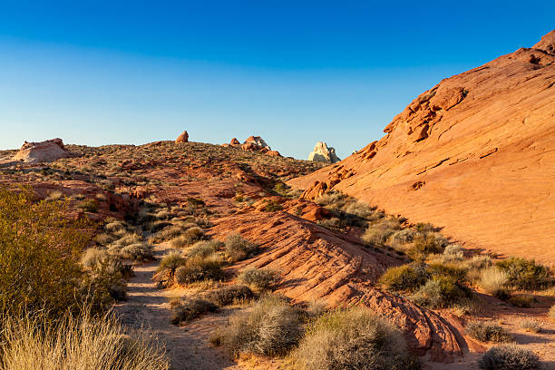 istock Valley of the Fire 148474445