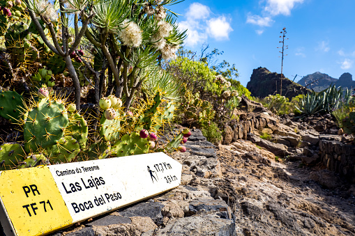 Hiking through Tenerife's rugged terrain on Camino de Teresme PR-TF 71 trail, a guidepost points towards the Boca del Paso and Las Lajas hiking areas, surrounded by typical vegetation including cacti.