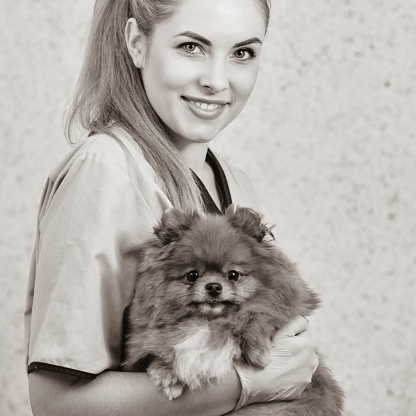 Attractive happy veterinarian posing with cute pomeranian in vet clinic