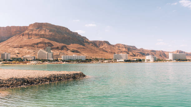 istock Ein Gedi Beach Dead Sea Israel Coastal Panorama 1484748646