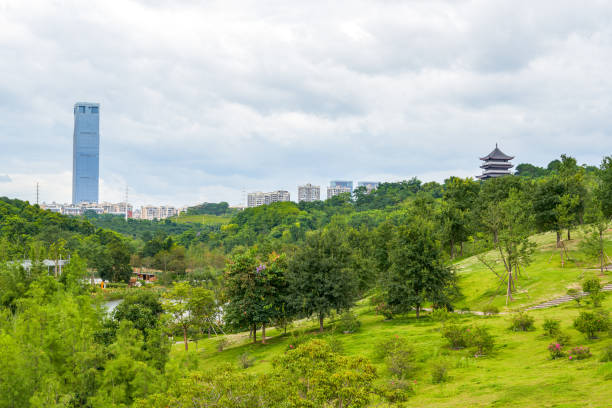 Beautiful greenery view in the park