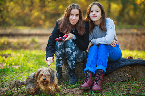 Young woman and her teenage sister resting on the tree stump in the park in autumn, holding their dog on a leash and looking at camera, pets and owners interacting outdoors