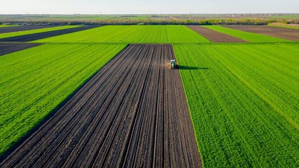 Aerial view of tractor as dragging a sowing machine over agricultural field, farmland Above view, of tractor as pulling mechanical seeder machine over arable field, soil, planting new cereal crop, corn, maize. overcasting stock pictures, royalty-free photos & images