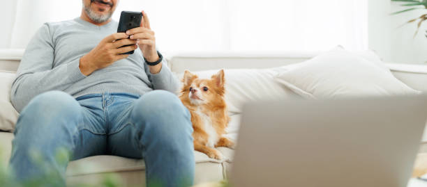 Middle-aged man using smartphone with chihuahua dog