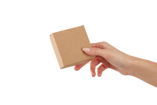 Blank Gift Box In Female Hands