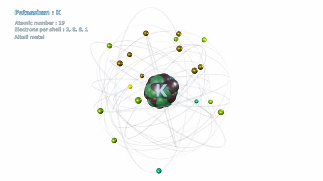 Atom of Potassium with 19 Electrons in infinite orbital rotation on white