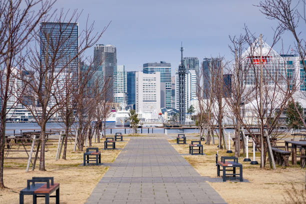 Buildings in central Tokyo from Toyosu Gururi Park (Koto Ward, Tokyo) Buildings in central Tokyo from Toyosu Gururi Park at Toyosu Wharf in Koto Ward, Tokyo, on a sunny day in January 2022 ウォーターフロント stock pictures, royalty-free photos & images