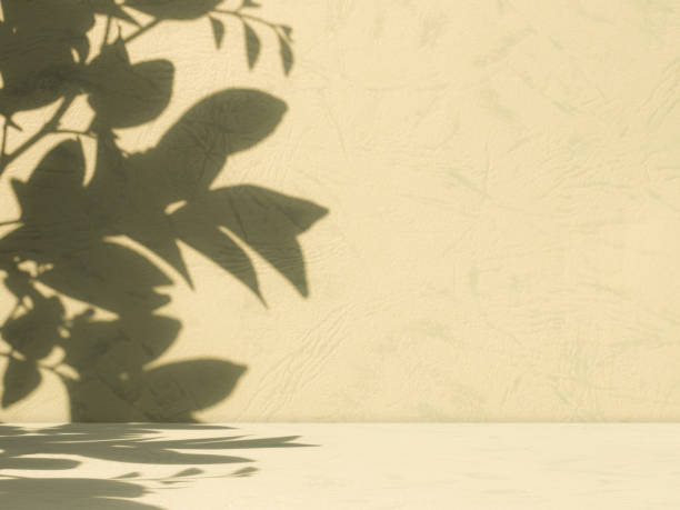 istock Shadow Leaf Studio Room Background,Table Wall Product Aesthetic Cosmetic,Podium Summer,Cement Loft Backdrop,Light Overlay Spring Flower Yellow Floor Wall Minimal Template,Beige Gold Cream Paint 1484763747
