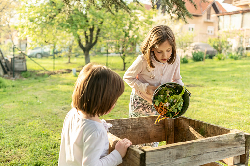 Children emptying kitchen waste in to a compost bin. Environmentally friendly lifestyle