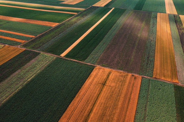 istock Abstract agricultural background, beautiful colorful patchwork pattern of cultivated fields from drone pov 1484766174