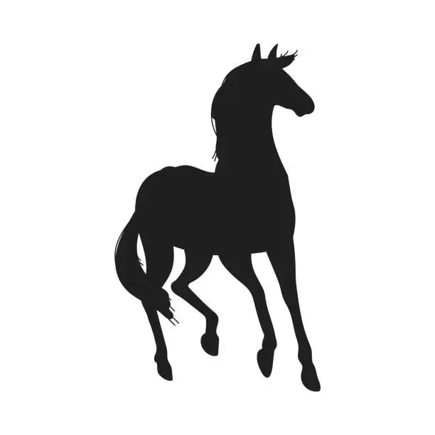 Vector illustration of Thoroughbred horse frisky in running silhouette vector illustration isolated.