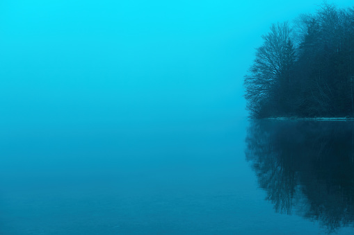 Winter foggy morning at Bohinj lake waterfront, minimalist composition of trees and bushes at water's edge in Triglav national park, copy space included