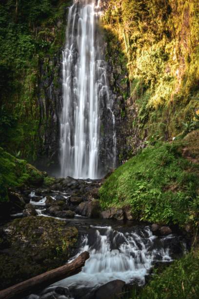 istock a waterfall in the rainforest with green vegetation around it and rocks on either side of 1484766951