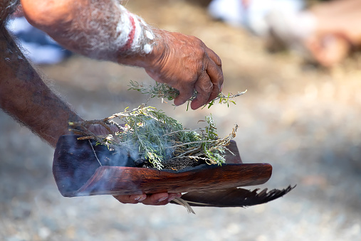 Human hands with green branches of eucalyptus, the fire ritual rite at an indigenous community event in Australia