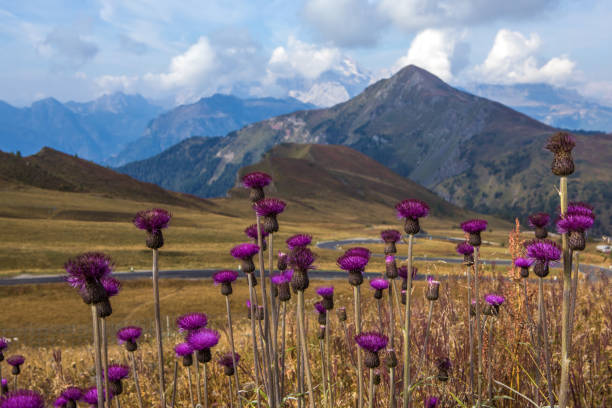 istock Mountain View of the Italian Dolomites 1484769708