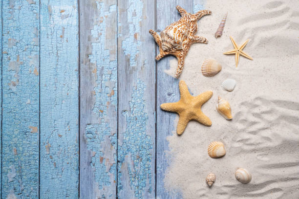 istock Summer, beach and vacation concept with free text space. Top view. Flat layout with a large sea star and sea shell and various sea shells and fine beach sand on an old blue wooden boards background 1484772093