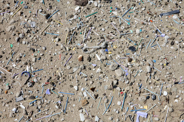 istock Dirty beach full of plastic, microplastic, bottles, straws and various garbage. 1484772730