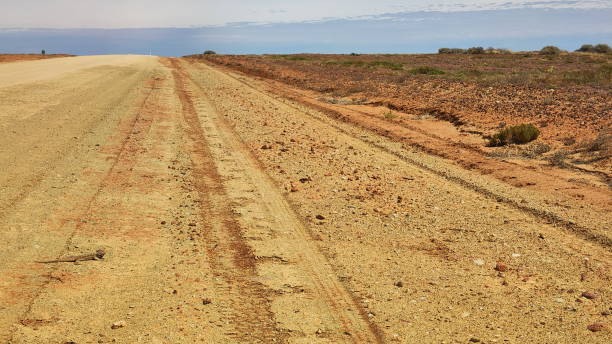 ウードナダッタトラック沿いの風景 - lizard landscape desert australia ストックフォトと画像