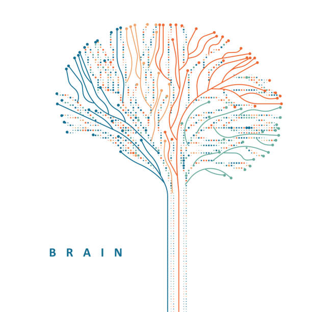 Abstract multicolored brain connections. Abstract multicolored brain connections. Digital innovation illustration Human Nervous System stock illustrations