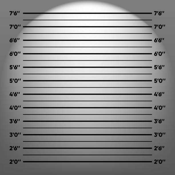 illustrations, cliparts, dessins animés et icônes de arrière-plan de l’alignement de la police. photo shot up pour arrestation. arrière-plan pour les photos du criminel. concept de mugshot. illustration vectorielle. - id card