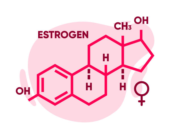 Symbol of estrogen. Skeletal formula logo. Molecular chemical formula of sex hormone. Female sex hormone. Vector illustration. Symbol of estrogen. Skeletal formula logo. Molecular chemical formula of sex hormone. Female sex hormone. Vector illustration oestrogen stock illustrations