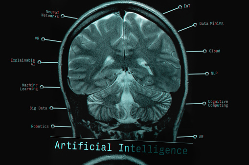 Digital illustration of human Brain, lobe, lobes, anatomy, 3D rendering