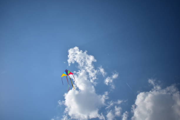 istock kite flying in the sky 1484778011
