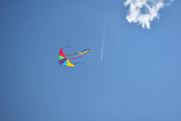 istock kite flying in the sky 1484778057