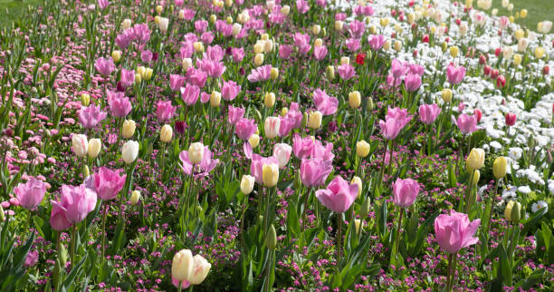 istock The beautiful park in London 1484779297