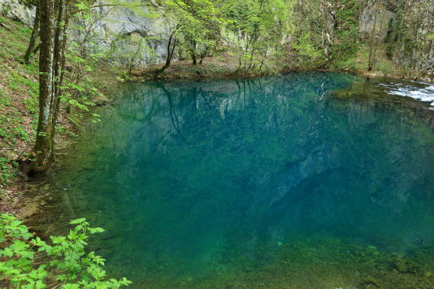 istock Source of the river Una, Croatia 1484779767